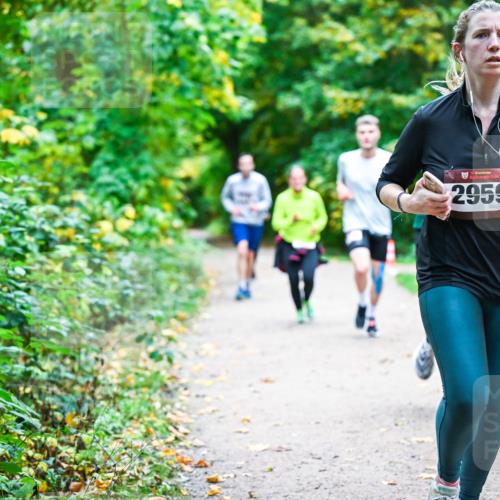 12.10.2025 - Bramfelder Halbmarathon 2025 Dr. Thomas Lammeyer http://msf.ph/oto/9358768 12.10.2025 11:05:31 Laufen 34, 2959 meine-sportfotos.de