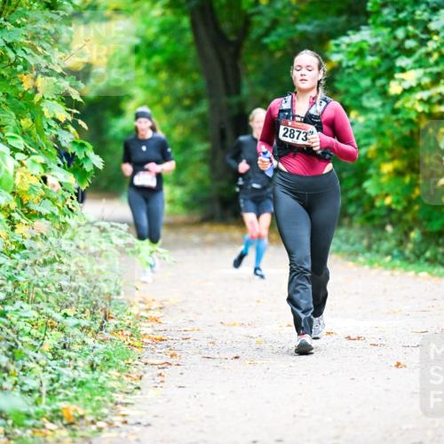 12.10.2025 - Bramfelder Halbmarathon 2025 Dr. Thomas Lammeyer http://msf.ph/oto/9358881 12.10.2025 11:05:54 Laufen 2873 meine-sportfotos.de