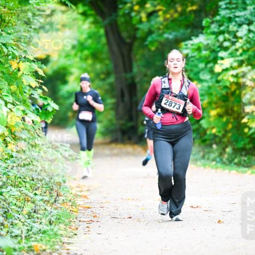 12.10.2025 - Bramfelder Halbmarathon 2025 Dr. Thomas Lammeyer http://msf.ph/oto/9358885 12.10.2025 11:05:54 Laufen 2873 meine-sportfotos.de