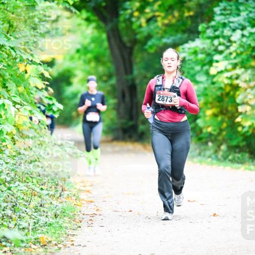 12.10.2025 - Bramfelder Halbmarathon 2025 Dr. Thomas Lammeyer http://msf.ph/oto/9358887 12.10.2025 11:05:54 Laufen 0, 2873 meine-sportfotos.de