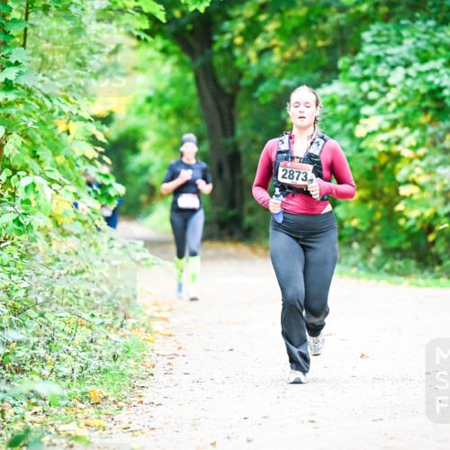 12.10.2025 - Bramfelder Halbmarathon 2025 Dr. Thomas Lammeyer http://msf.ph/oto/9358893 12.10.2025 11:05:55 Laufen 2873 meine-sportfotos.de