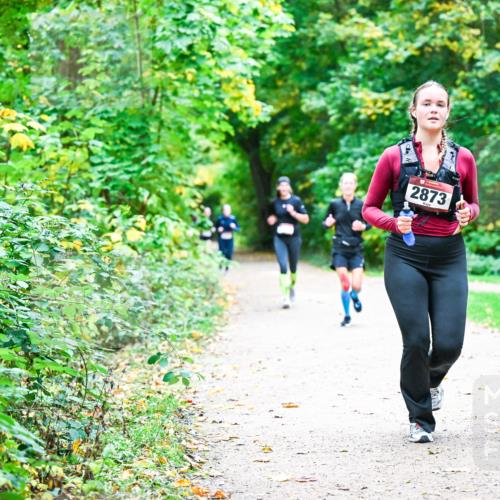 12.10.2025 - Bramfelder Halbmarathon 2025 Dr. Thomas Lammeyer http://msf.ph/oto/9358918 12.10.2025 11:05:59 Laufen 2873 meine-sportfotos.de