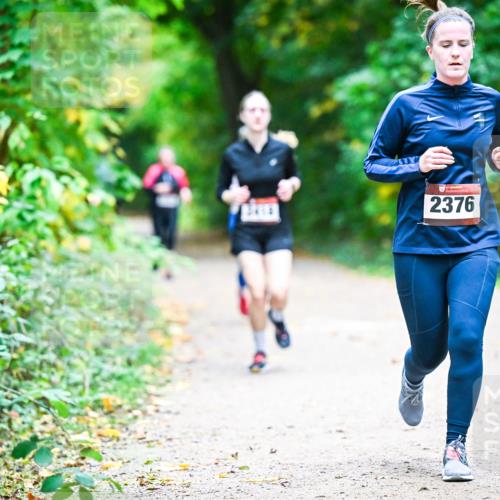 12.10.2025 - Bramfelder Halbmarathon 2025 Dr. Thomas Lammeyer http://msf.ph/oto/9358953 12.10.2025 11:06:09 Laufen 2376 meine-sportfotos.de
