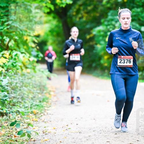 12.10.2025 - Bramfelder Halbmarathon 2025 Dr. Thomas Lammeyer http://msf.ph/oto/9358954 12.10.2025 11:06:09 Laufen 2376 meine-sportfotos.de