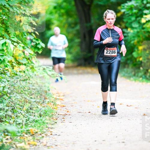 12.10.2025 - Bramfelder Halbmarathon 2025 Dr. Thomas Lammeyer http://msf.ph/oto/9358996 12.10.2025 11:06:18 Laufen 2286 meine-sportfotos.de