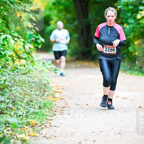 12.10.2025 - Bramfelder Halbmarathon 2025 Dr. Thomas Lammeyer http://msf.ph/oto/9358998 12.10.2025 11:06:18 Laufen 2286 meine-sportfotos.de