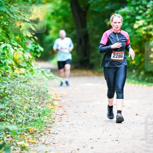 12.10.2025 - Bramfelder Halbmarathon 2025 Dr. Thomas Lammeyer http://msf.ph/oto/9359002 12.10.2025 11:06:19 Laufen 2286 meine-sportfotos.de