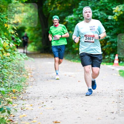 12.10.2025 - Bramfelder Halbmarathon 2025 Dr. Thomas Lammeyer http://msf.ph/oto/9359033 12.10.2025 11:06:27 Laufen 2467 meine-sportfotos.de