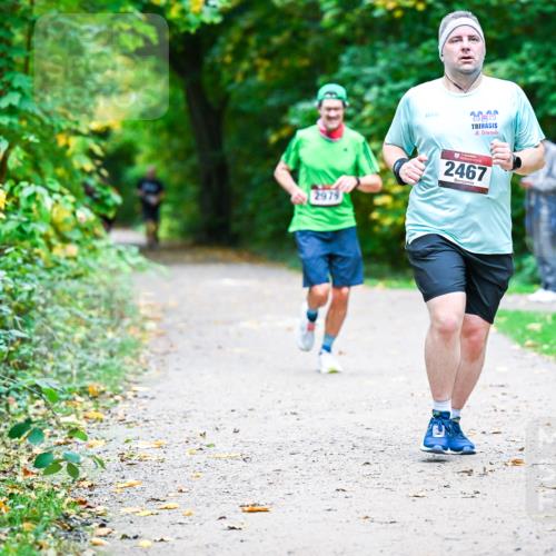 12.10.2025 - Bramfelder Halbmarathon 2025 Dr. Thomas Lammeyer http://msf.ph/oto/9359042 12.10.2025 11:06:28 Laufen 2974, 2020, 2467 meine-sportfotos.de