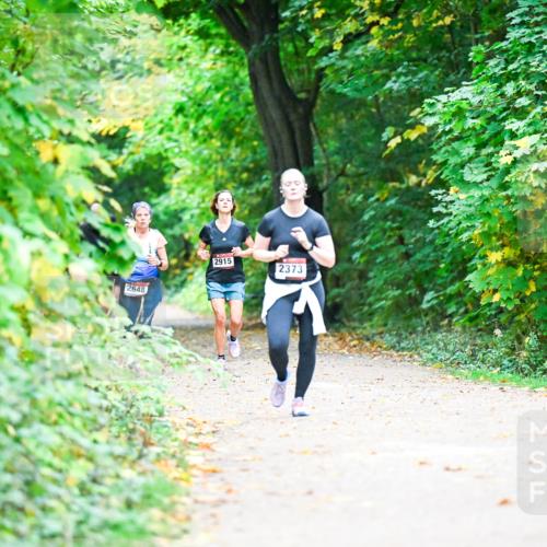 12.10.2025 - Bramfelder Halbmarathon 2025 Dr. Thomas Lammeyer http://msf.ph/oto/9359127 12.10.2025 11:07:03 Laufen 2648, 2915, 2373 meine-sportfotos.de