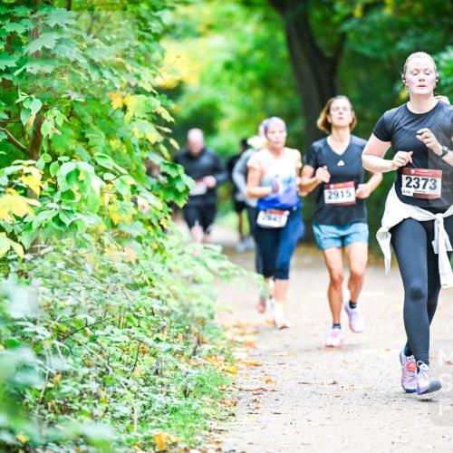 12.10.2025 - Bramfelder Halbmarathon 2025 Dr. Thomas Lammeyer http://msf.ph/oto/9359160 12.10.2025 11:07:09 Laufen 2641, 2915, 2373, 8134 meine-sportfotos.de