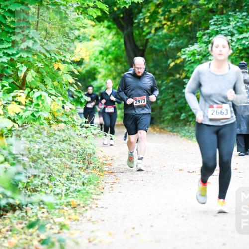 12.10.2025 - Bramfelder Halbmarathon 2025 Dr. Thomas Lammeyer http://msf.ph/oto/9359179 12.10.2025 11:07:17 Laufen 2374, 2973, 2663 meine-sportfotos.de