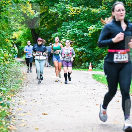 12.10.2025 - Bramfelder Halbmarathon 2025 Dr. Thomas Lammeyer http://msf.ph/oto/9359244 12.10.2025 11:07:30 Laufen 2296, 2200, 2638, 2440, 2374 meine-sportfotos.de