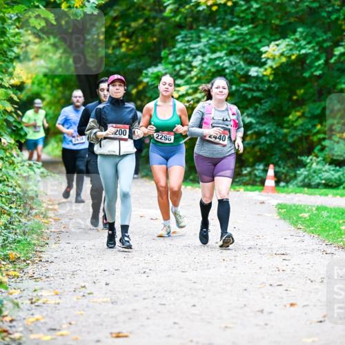 12.10.2025 - Bramfelder Halbmarathon 2025 Dr. Thomas Lammeyer http://msf.ph/oto/9359248 12.10.2025 11:07:31 Laufen 440, 200, 2296 meine-sportfotos.de