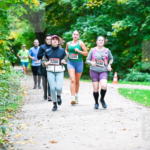 12.10.2025 - Bramfelder Halbmarathon 2025 Dr. Thomas Lammeyer http://msf.ph/oto/9359252 12.10.2025 11:07:32 Laufen 2200, 2296, 2440 meine-sportfotos.de