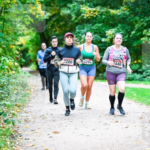 12.10.2025 - Bramfelder Halbmarathon 2025 Dr. Thomas Lammeyer http://msf.ph/oto/9359262 12.10.2025 11:07:33 Laufen 2200, 2296, 440 meine-sportfotos.de