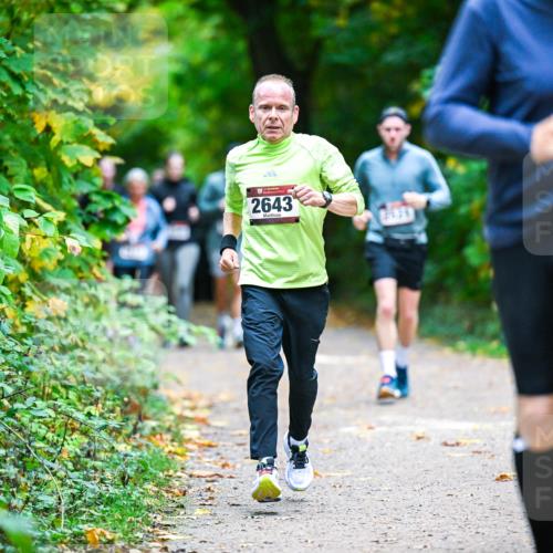12.10.2025 - Bramfelder Halbmarathon 2025 Dr. Thomas Lammeyer http://msf.ph/oto/9359490 12.10.2025 11:08:27 Laufen 2643, 2636 meine-sportfotos.de