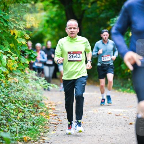 12.10.2025 - Bramfelder Halbmarathon 2025 Dr. Thomas Lammeyer http://msf.ph/oto/9359492 12.10.2025 11:08:28 Laufen 2643, 2521 meine-sportfotos.de