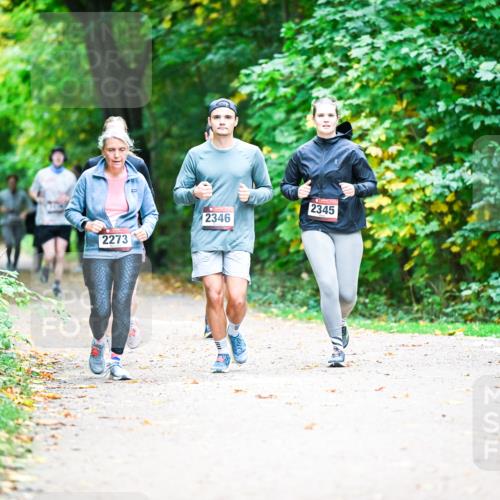 12.10.2025 - Bramfelder Halbmarathon 2025 Dr. Thomas Lammeyer http://msf.ph/oto/9359522 12.10.2025 11:08:34 Laufen 2273, 2346, 2345 meine-sportfotos.de