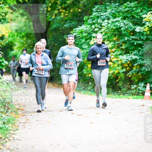 12.10.2025 - Bramfelder Halbmarathon 2025 Dr. Thomas Lammeyer http://msf.ph/oto/9359524 12.10.2025 11:08:34 Laufen 2273, 2346, 2345 meine-sportfotos.de