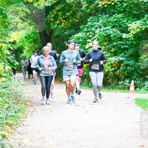 12.10.2025 - Bramfelder Halbmarathon 2025 Dr. Thomas Lammeyer http://msf.ph/oto/9359528 12.10.2025 11:08:35 Laufen 2273, 2346, 2345 meine-sportfotos.de