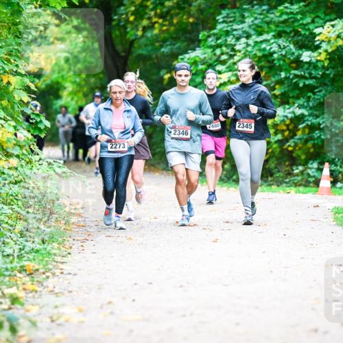 12.10.2025 - Bramfelder Halbmarathon 2025 Dr. Thomas Lammeyer http://msf.ph/oto/9359533 12.10.2025 11:08:36 Laufen 2480, 2345, 2346, 2273 meine-sportfotos.de