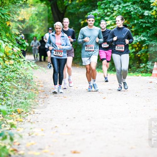 12.10.2025 - Bramfelder Halbmarathon 2025 Dr. Thomas Lammeyer http://msf.ph/oto/9359534 12.10.2025 11:08:36 Laufen 2273, 2346, 2480, 2345 meine-sportfotos.de
