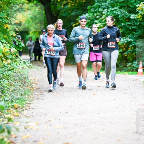 12.10.2025 - Bramfelder Halbmarathon 2025 Dr. Thomas Lammeyer http://msf.ph/oto/9359535 12.10.2025 11:08:36 Laufen 2273, 694, 2346, 2345, 2480 meine-sportfotos.de