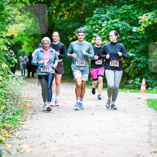 12.10.2025 - Bramfelder Halbmarathon 2025 Dr. Thomas Lammeyer http://msf.ph/oto/9359537 12.10.2025 11:08:36 Laufen 2273, 2346, 2480, 2345 meine-sportfotos.de