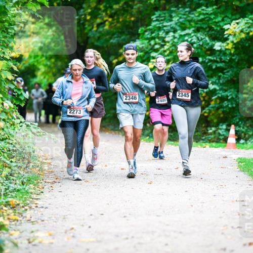 12.10.2025 - Bramfelder Halbmarathon 2025 Dr. Thomas Lammeyer http://msf.ph/oto/9359538 12.10.2025 11:08:36 Laufen 2273, 2346, 2345, 2480 meine-sportfotos.de