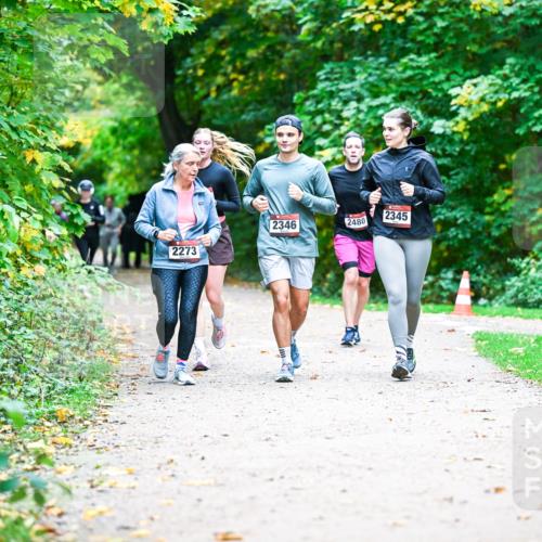 12.10.2025 - Bramfelder Halbmarathon 2025 Dr. Thomas Lammeyer http://msf.ph/oto/9359544 12.10.2025 11:08:37 Laufen 2273, 2346, 2345, 2480 meine-sportfotos.de