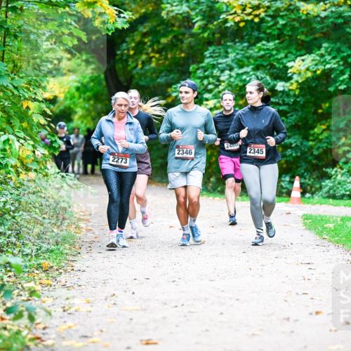 12.10.2025 - Bramfelder Halbmarathon 2025 Dr. Thomas Lammeyer http://msf.ph/oto/9359545 12.10.2025 11:08:37 Laufen 2400, 2346, 2273, 2345 meine-sportfotos.de