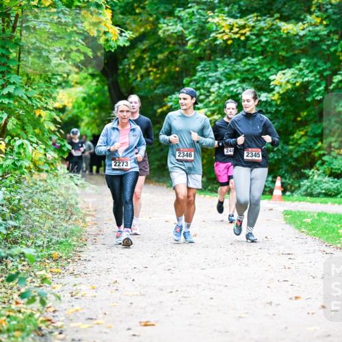 12.10.2025 - Bramfelder Halbmarathon 2025 Dr. Thomas Lammeyer http://msf.ph/oto/9359548 12.10.2025 11:08:38 Laufen 2273, 2346, 248, 2345 meine-sportfotos.de
