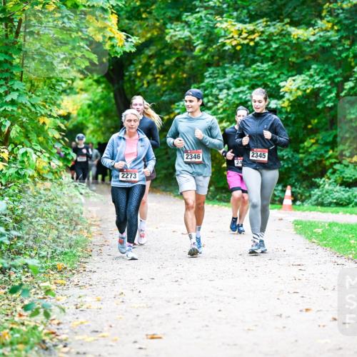 12.10.2025 - Bramfelder Halbmarathon 2025 Dr. Thomas Lammeyer http://msf.ph/oto/9359549 12.10.2025 11:08:38 Laufen 2273, 2346, 24, 2345 meine-sportfotos.de
