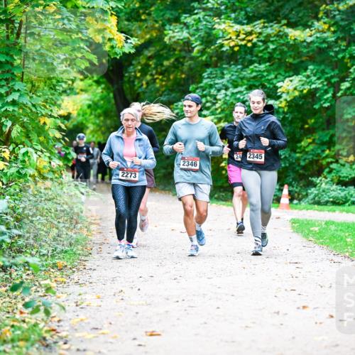12.10.2025 - Bramfelder Halbmarathon 2025 Dr. Thomas Lammeyer http://msf.ph/oto/9359550 12.10.2025 11:08:38 Laufen 2273, 2346, 24, 2345 meine-sportfotos.de