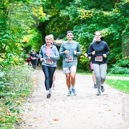 12.10.2025 - Bramfelder Halbmarathon 2025 Dr. Thomas Lammeyer http://msf.ph/oto/9359554 12.10.2025 11:08:39 Laufen 2273, 2346, 2345 meine-sportfotos.de