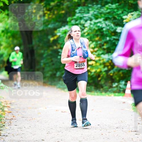 12.10.2025 - Bramfelder Halbmarathon 2025 Dr. Thomas Lammeyer http://msf.ph/oto/9359633 12.10.2025 11:08:55 Laufen 2855 meine-sportfotos.de