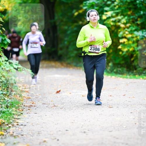 12.10.2025 - Bramfelder Halbmarathon 2025 Dr. Thomas Lammeyer http://msf.ph/oto/9359775 12.10.2025 11:09:28 Laufen 2386 meine-sportfotos.de