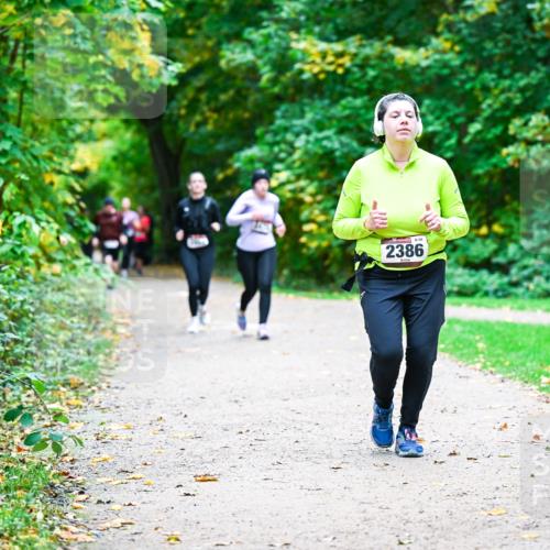 12.10.2025 - Bramfelder Halbmarathon 2025 Dr. Thomas Lammeyer http://msf.ph/oto/9359796 12.10.2025 11:09:32 Laufen 88, 2386 meine-sportfotos.de