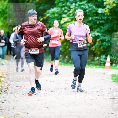 12.10.2025 - Bramfelder Halbmarathon 2025 Dr. Thomas Lammeyer http://msf.ph/oto/9359832 12.10.2025 11:09:41 Laufen 2229, 2491, 2459 meine-sportfotos.de