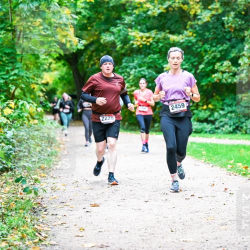 12.10.2025 - Bramfelder Halbmarathon 2025 Dr. Thomas Lammeyer http://msf.ph/oto/9359850 12.10.2025 11:09:44 Laufen 2229, 2495, 2459 meine-sportfotos.de