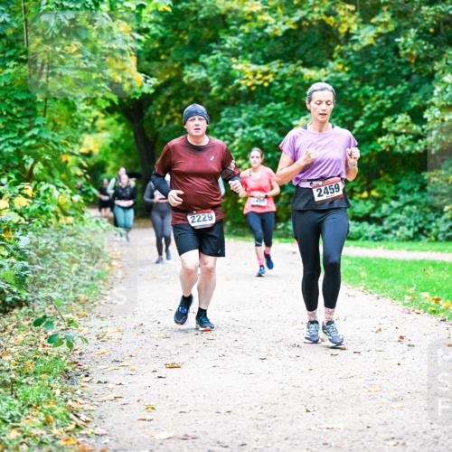 12.10.2025 - Bramfelder Halbmarathon 2025 Dr. Thomas Lammeyer http://msf.ph/oto/9359851 12.10.2025 11:09:44 Laufen 2229, 2495, 2459 meine-sportfotos.de