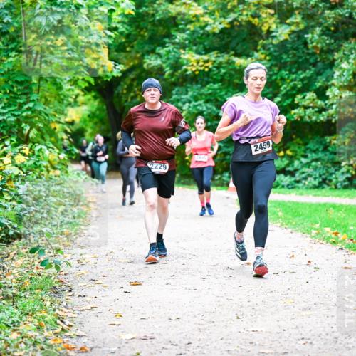 12.10.2025 - Bramfelder Halbmarathon 2025 Dr. Thomas Lammeyer http://msf.ph/oto/9359852 12.10.2025 11:09:44 Laufen 2229, 2495, 2459 meine-sportfotos.de