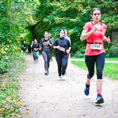 12.10.2025 - Bramfelder Halbmarathon 2025 Dr. Thomas Lammeyer http://msf.ph/oto/9359869 12.10.2025 11:09:48 Laufen 2244, 2859, 2650, 2495 meine-sportfotos.de