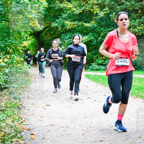 12.10.2025 - Bramfelder Halbmarathon 2025 Dr. Thomas Lammeyer http://msf.ph/oto/9359870 12.10.2025 11:09:48 Laufen 2244, 2859, 2495, 2650 meine-sportfotos.de