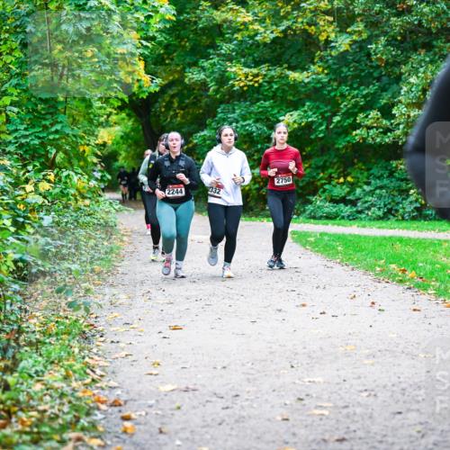 12.10.2025 - Bramfelder Halbmarathon 2025 Dr. Thomas Lammeyer http://msf.ph/oto/9359890 12.10.2025 11:09:53 Laufen 2750, 2244, 2332, 285 meine-sportfotos.de