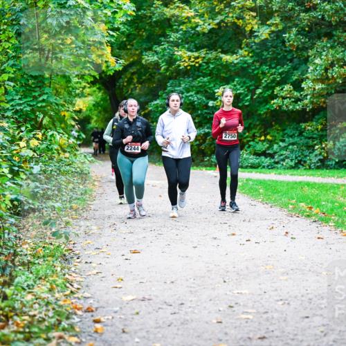 12.10.2025 - Bramfelder Halbmarathon 2025 Dr. Thomas Lammeyer http://msf.ph/oto/9359893 12.10.2025 11:09:53 Laufen 2244, 2750 meine-sportfotos.de