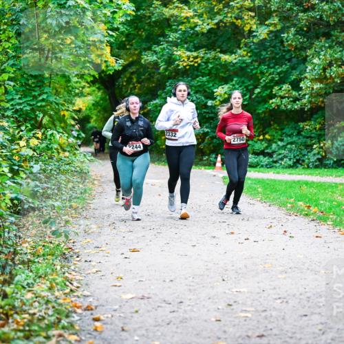 12.10.2025 - Bramfelder Halbmarathon 2025 Dr. Thomas Lammeyer http://msf.ph/oto/9359895 12.10.2025 11:09:53 Laufen 2244, 2332, 2750 meine-sportfotos.de