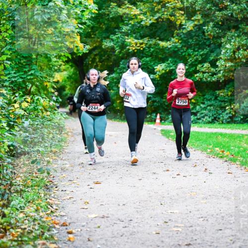 12.10.2025 - Bramfelder Halbmarathon 2025 Dr. Thomas Lammeyer http://msf.ph/oto/9359898 12.10.2025 11:09:54 Laufen 2244, 332, 2750 meine-sportfotos.de