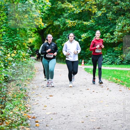 12.10.2025 - Bramfelder Halbmarathon 2025 Dr. Thomas Lammeyer http://msf.ph/oto/9359899 12.10.2025 11:09:54 Laufen 2244, 2750 meine-sportfotos.de